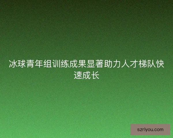 冰球青年组训练成果显著助力人才梯队快速成长